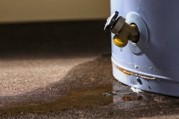 Carpet water damage restoration in North Merrick, NY
