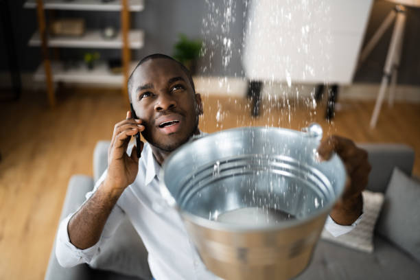Best Water damage restoration specialists  in North Merrick, NY