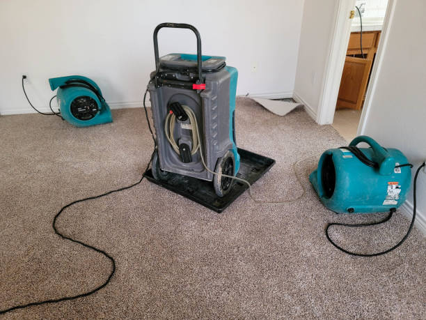 Best Water damage restoration near me  in North Merrick, NY