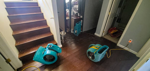 Best Ceiling water damage repair  in North Merrick, NY