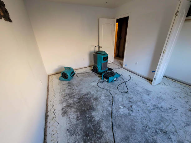 North Merrick, NY Water damage restoration Company