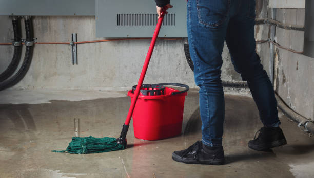Best Flood damage cleanup  in North Merrick, NY