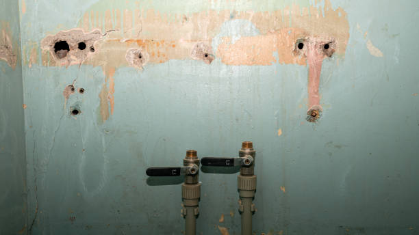 Best Mold removal after water damage  in North Merrick, NY