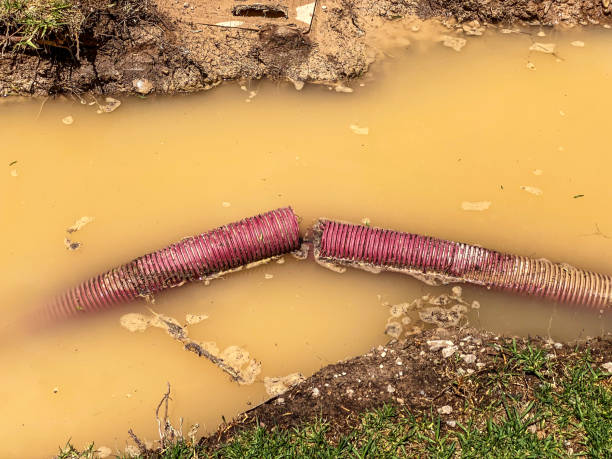 Best Basement water damage restoration  in North Merrick, NY