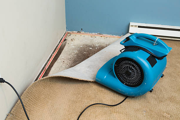 Best Sewage cleanup and water damage restoration  in North Merrick, NY